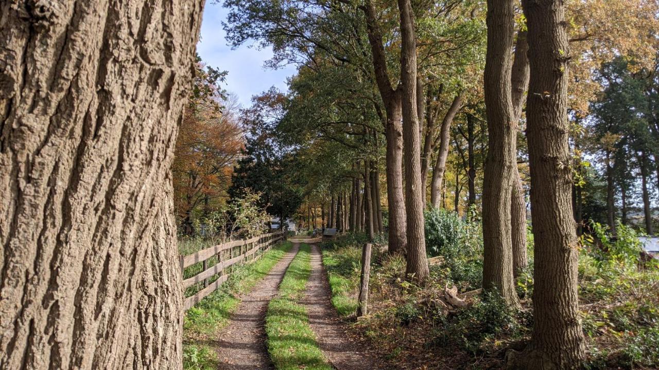 Chalet Op De Veluwe # Beuk Putten Eksteriør bilde