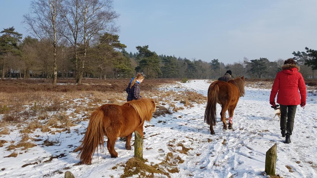 Chalet Op De Veluwe # Beuk Putten Eksteriør bilde