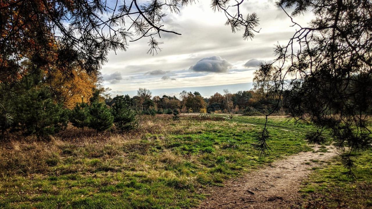 Chalet Op De Veluwe # Beuk Putten Eksteriør bilde